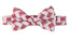 Boys' Pre-tied Retro Woven Bow Tie