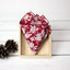 Boy's Cotton Floral Print Bow Tie and Pocket Square Set, Apple Red (Color F45)