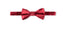 Men's Satin Crinkle Microfiber Bow Tie