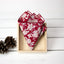 Men's Cotton Floral Print Pocket Square, Apple Red (Color F45)