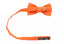 Men's Linen Blend Pre-tied Bow Tie