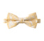 Men's Metallic Marbleized Bow Tie