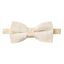 Men's Velvet Pre-tied Bow Tie