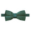 Men's Velvet Pre-tied Bow Tie