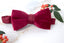 Men's Velvet Pre-tied Bow Tie