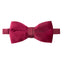 Men's Velvet Pre-tied Bow Tie