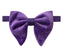 Men's Vintage Velvet Bow Tie