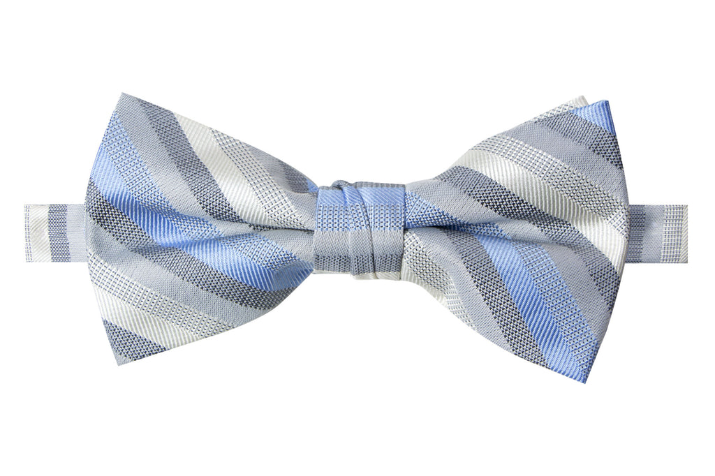 Men's Blue/Ivory Patterned Bow Tie (Color 19)