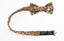 Boys' Cotton Floral Bow Tie, Brown (Color F39)