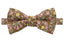 Boys' Cotton Floral Bow Tie, Brown (Color F39)
