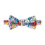 Boys' Cotton Floral Bow Tie, Blue/Yellow (Color F70)