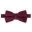 Boys' Linen Blend Bow Tie