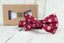 Boys' Printed Christmas Themed Bow Tie, Gingerbread Man