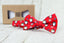Boys' Printed Christmas Themed Bow Tie, Round Penguins