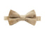 Boys' Velvet Pre-tied Bow Tie