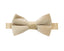 Boys' Velvet Pre-tied Bow Tie