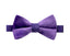 Boys' Velvet Pre-tied Bow Tie