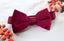 Boys' Velvet Pre-tied Bow Tie
