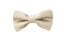 Boys' Dotted Woven Bow Tie