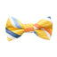 Boys' Striped Woven Bow Tie