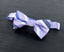 Boys' Striped Woven Bow Tie