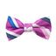Boys' Striped Woven Bow Tie