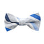 Boys' Striped Woven Bow Tie
