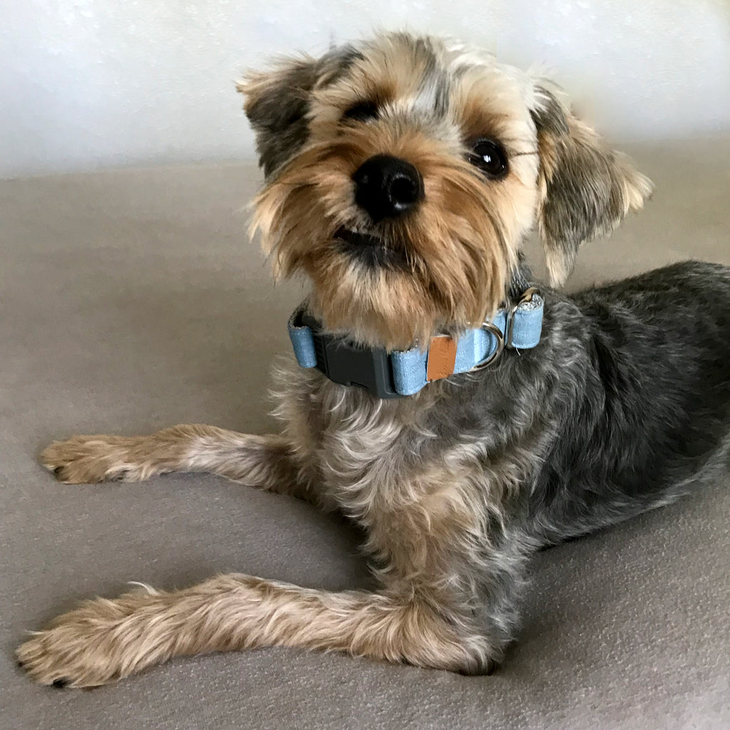 Linen Blend Dog Collar with Strong Buckle, Blue