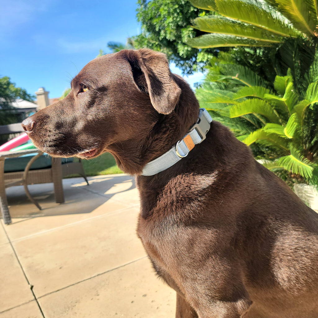 Linen Blend Dog Collar with Strong Buckle, Light Grey