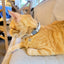 Linen Blend Adjustable Cat Collar with Breakaway Quick Release Buckle and Bell, Natural