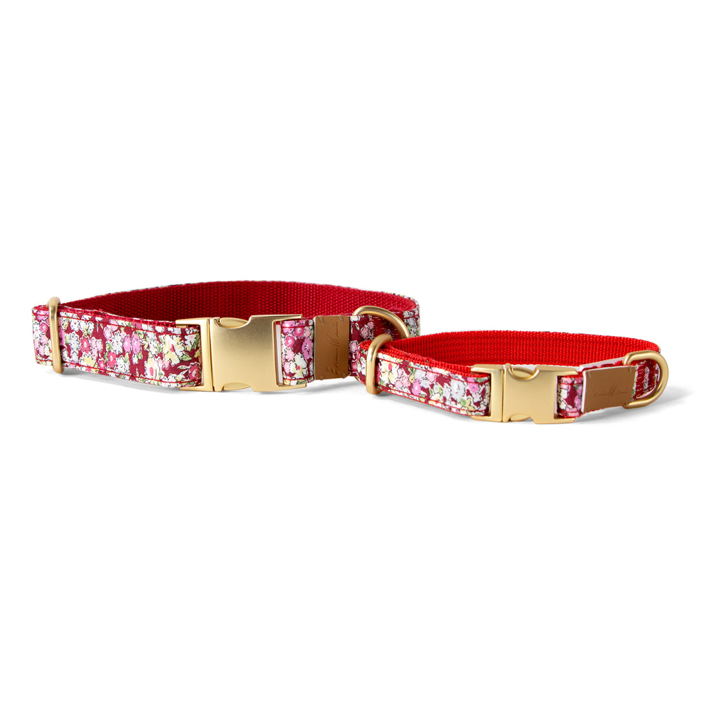 Cotton Floral Dog Collar with Matt Gold Metal Buckle, 10-Cinnamon