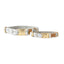 Cotton Floral Dog Collar with Matt Gold Metal Buckle, 12-Champagne