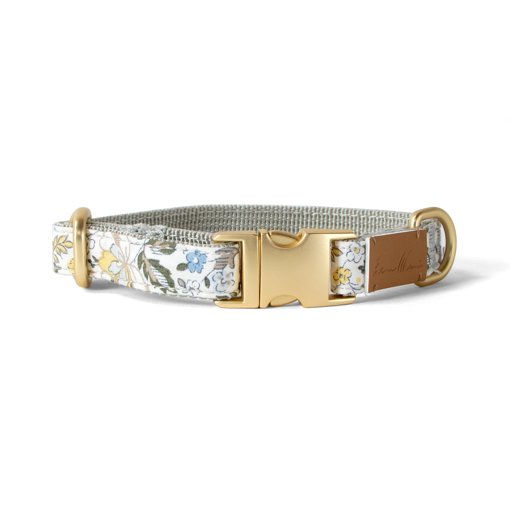 Cotton Floral Dog Collar with Matt Gold Metal Buckle, 12-Champagne