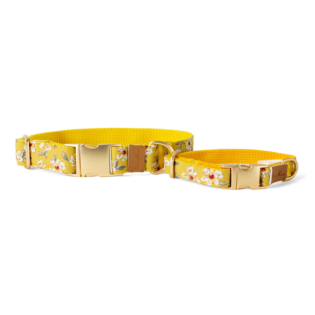 Cotton Floral Dog Collar with Matt Gold Metal Buckle, 13-Mustard
