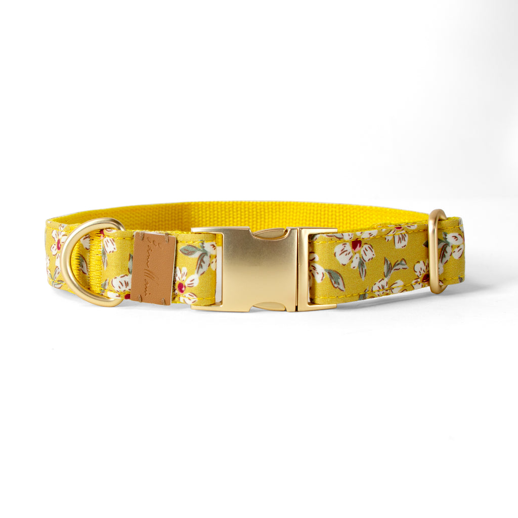 Cotton Floral Dog Collar with Matt Gold Metal Buckle, 13-Mustard