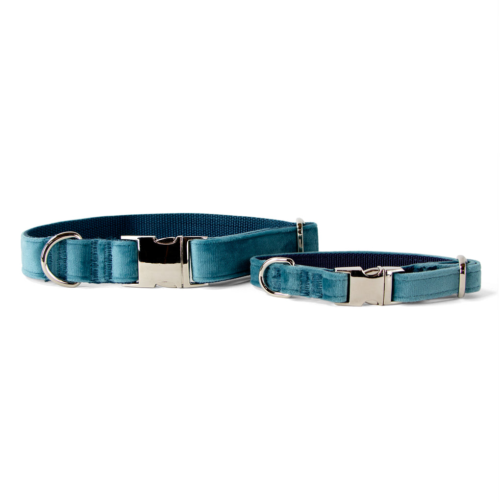 Velvet Dog Collar with Chrome Silver Metal Buckle, Teal