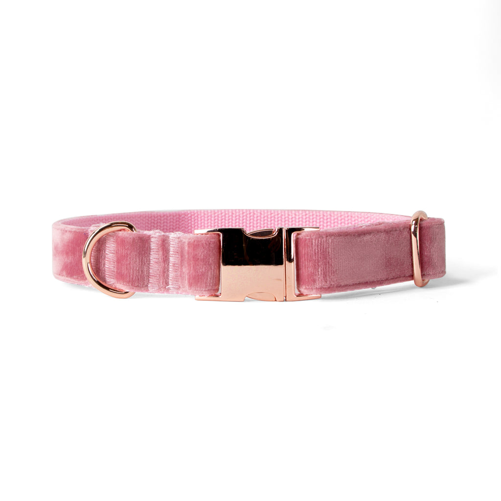 Velvet Dog Collar with Rose Gold Metal Buckle, Rose Pink