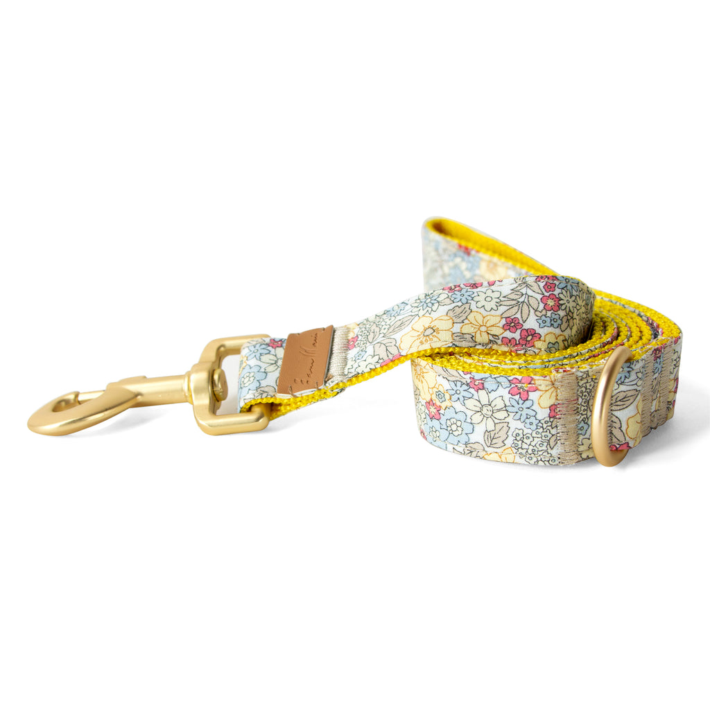 Cotton Floral Dog Leash with Matt Gold Metal Snap and D-Ring, 01-Champagne and Blue