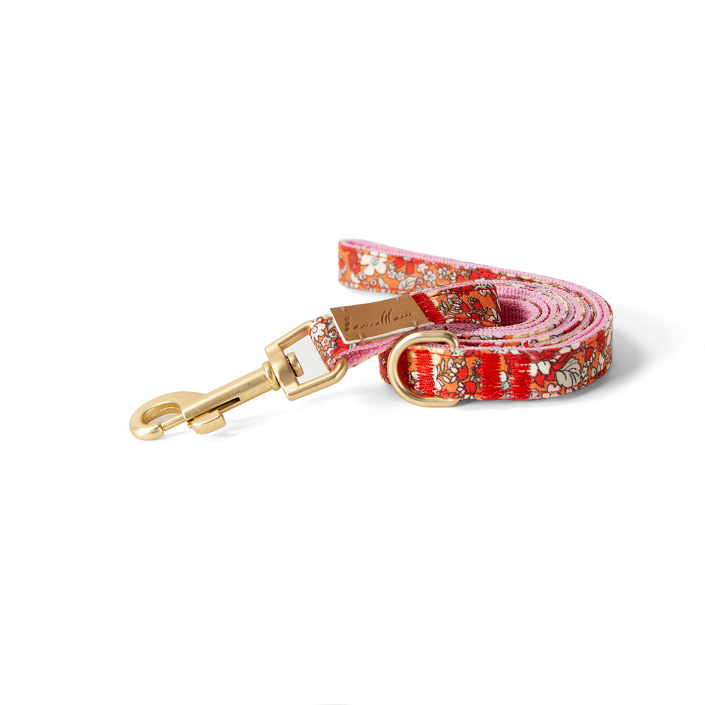 Cotton Floral Dog Leash with Matt Gold Metal Snap and D-Ring, 03-Orange