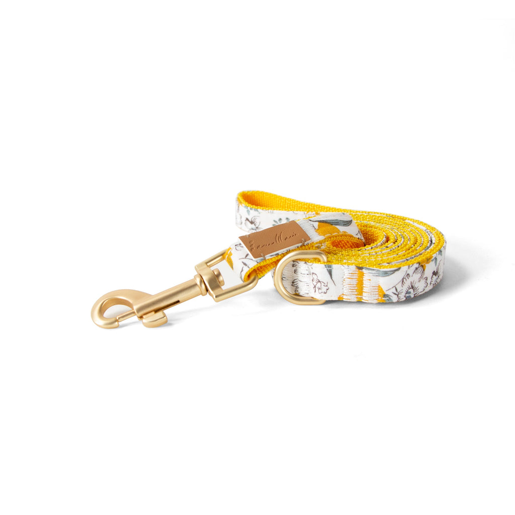 Cotton Floral Dog Leash with Matt Gold Metal Snap and D-Ring, 07-Marigold
