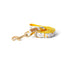 Cotton Floral Dog Leash with Matt Gold Metal Snap and D-Ring, 07-Marigold