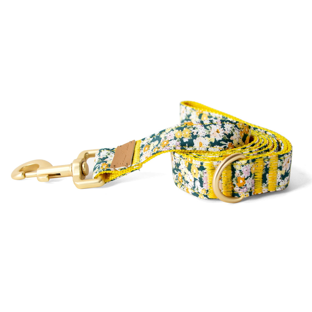 Cotton Floral Dog Leash with Matt Gold Metal Snap and D-Ring, 09-Green
