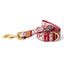 Cotton Floral Dog Leash with Matt Gold Metal Snap and D-Ring, 10-Cinnamon