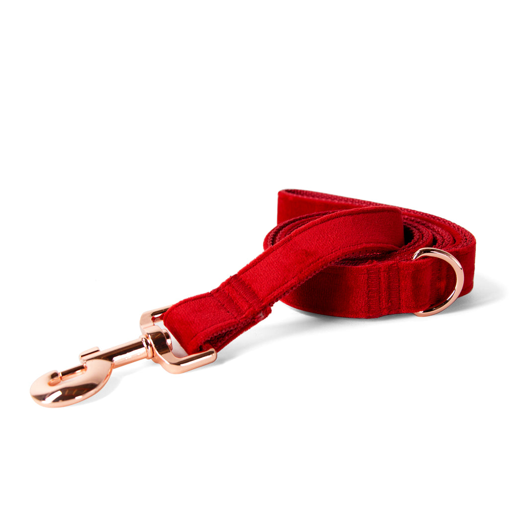 Velvet Dog Leash with Rose Gold Metal Snap, Red