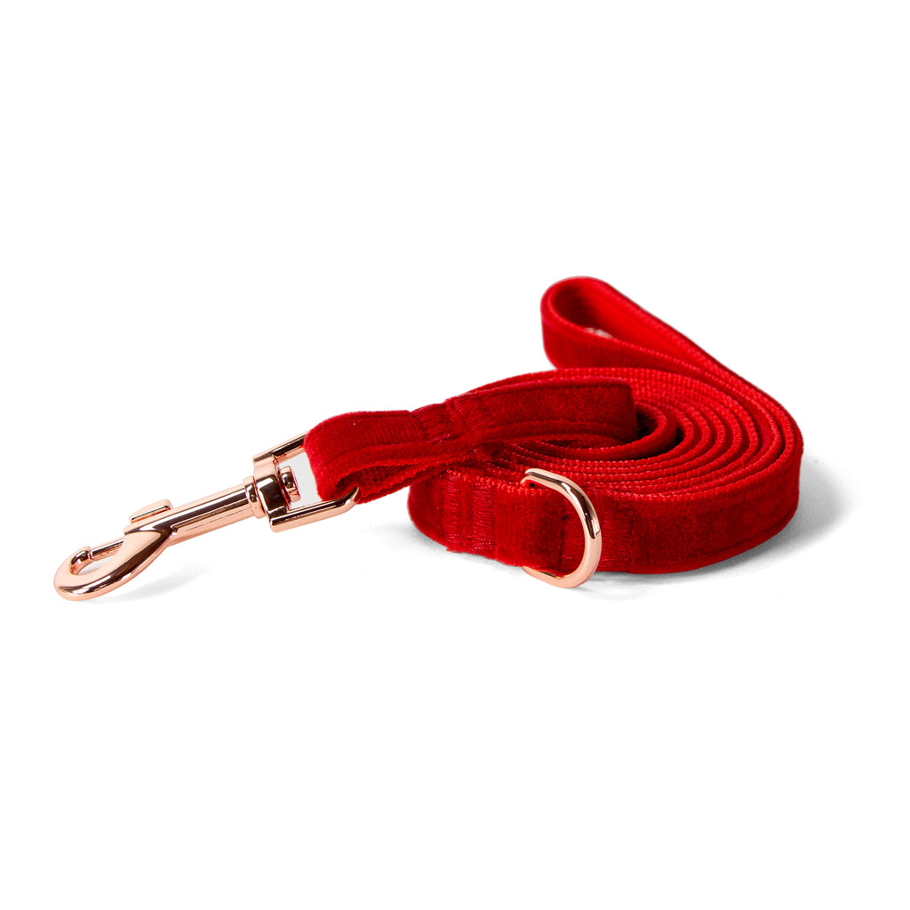 Velvet Dog Leash with Rose Gold Metal Snap, Red