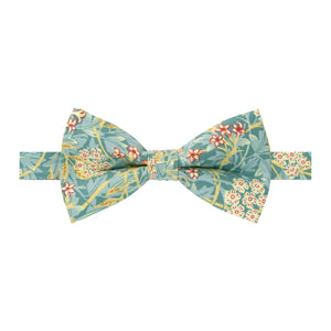 Men's Cotton Floral Print Bow Tie, Green Yellow (Color F76)