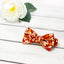 Boy's Cotton Floral Print Bow Tie and Pocket Square Set, Rust (Color F75)