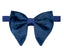 Men's Vintage Velvet Bow Tie