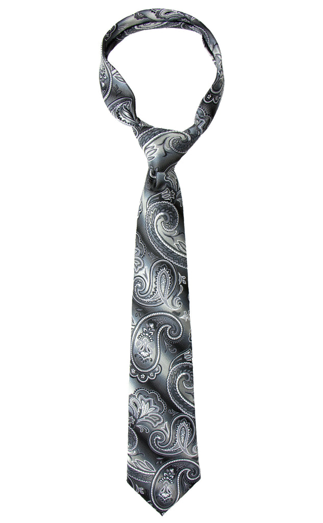 Men's Paisley Pattern Gradient Microfiber Woven Tie