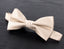 Men's Microfiber Dotted Bow Tie